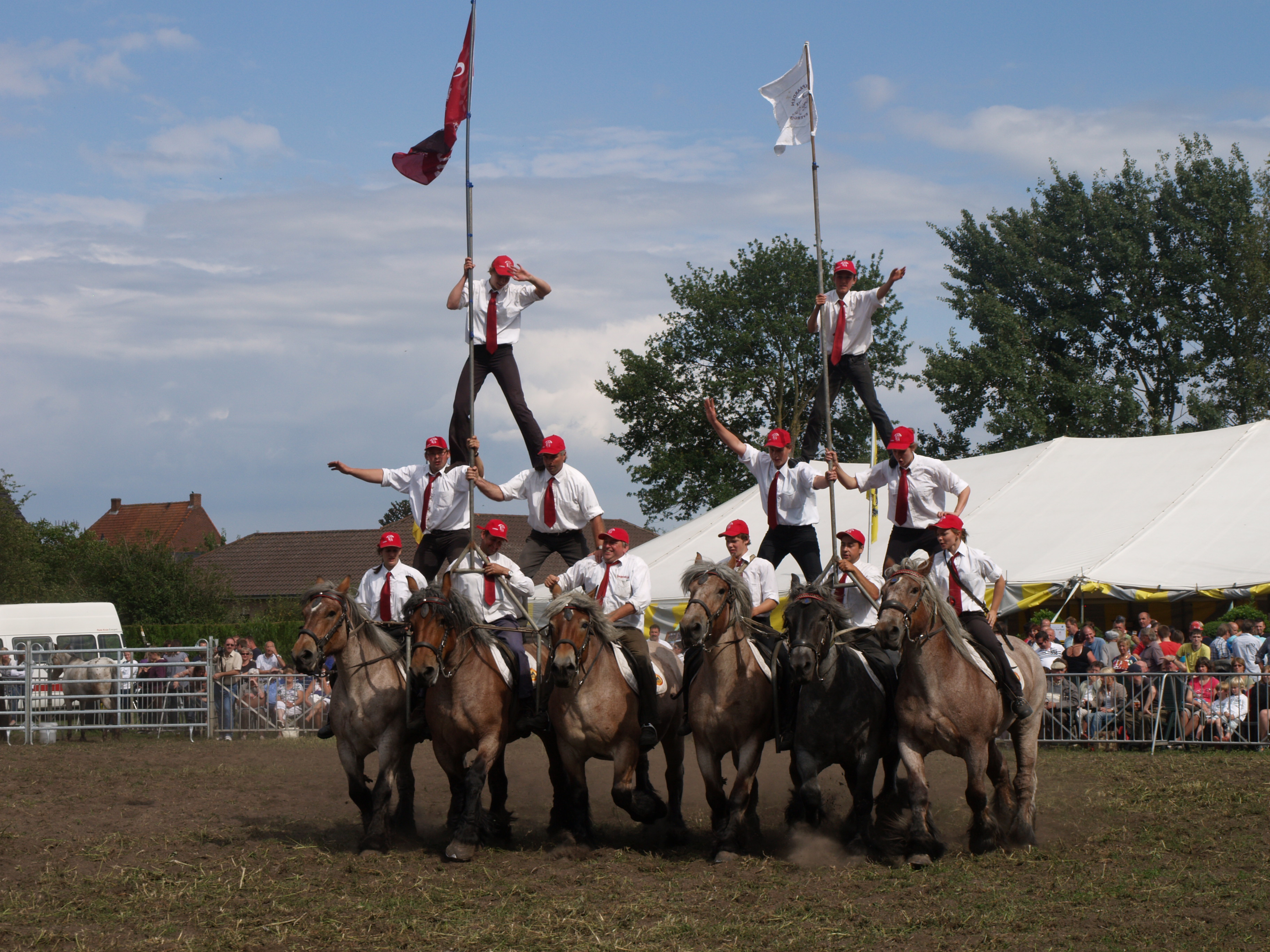 Trekpaardenhappening