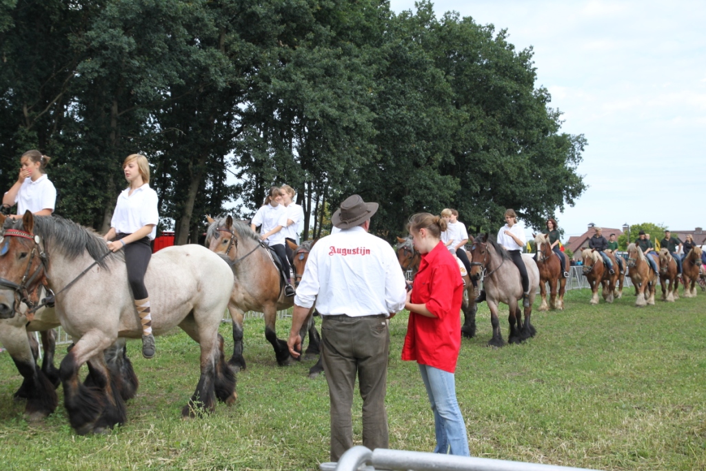 Trekpaardenhappening 2011