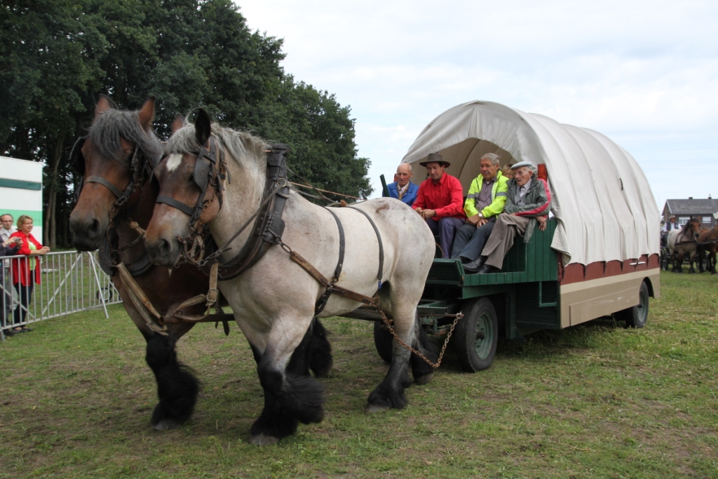 Trekpaardenhappening 2011