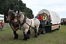 Trekpaardenhappening 2011