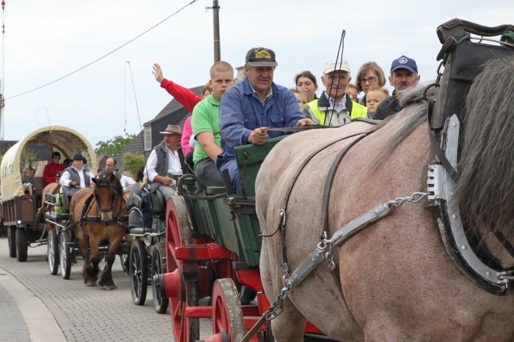 Trekpaardenhappening 2011