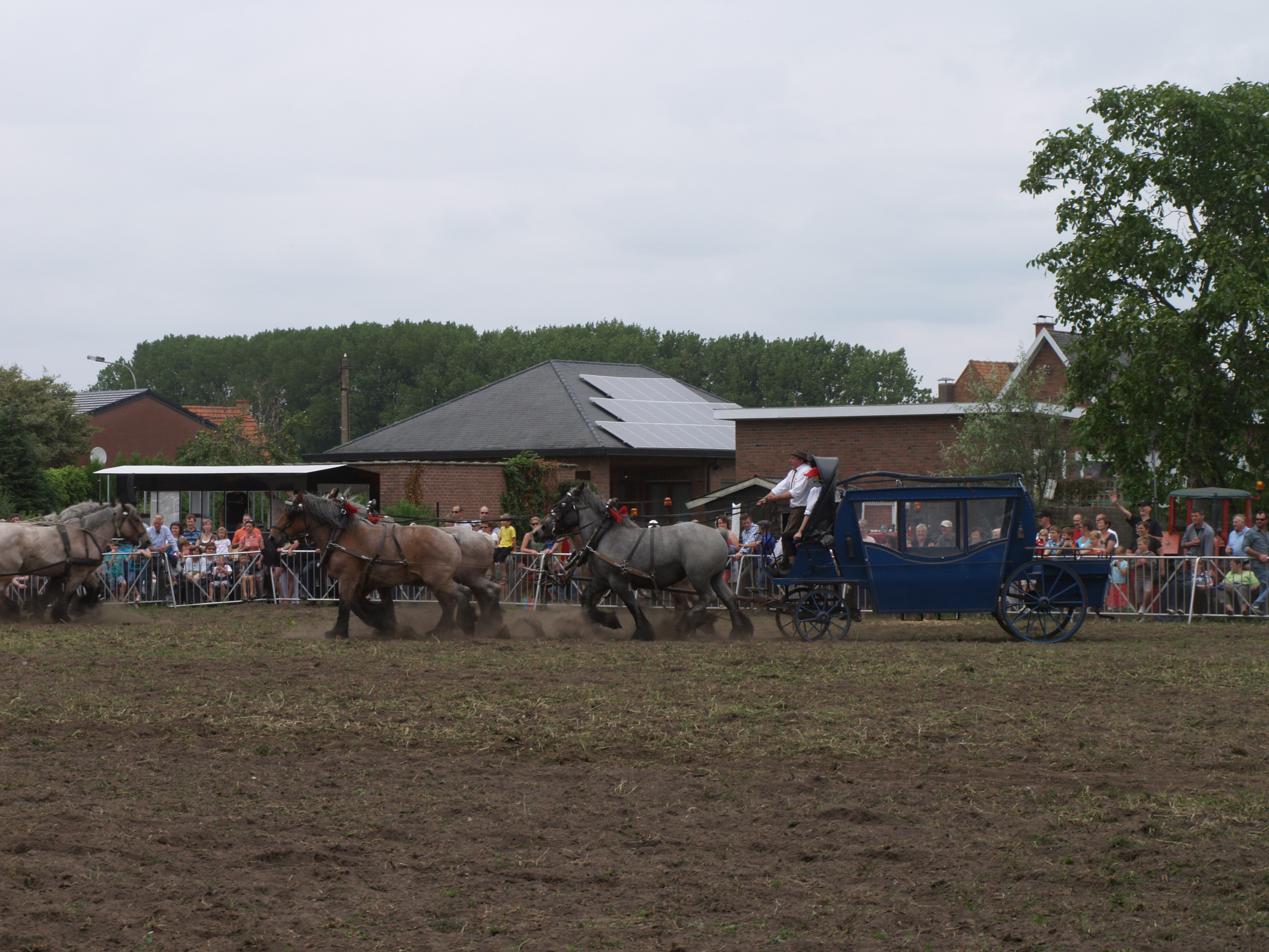 Trekpaardenhappening