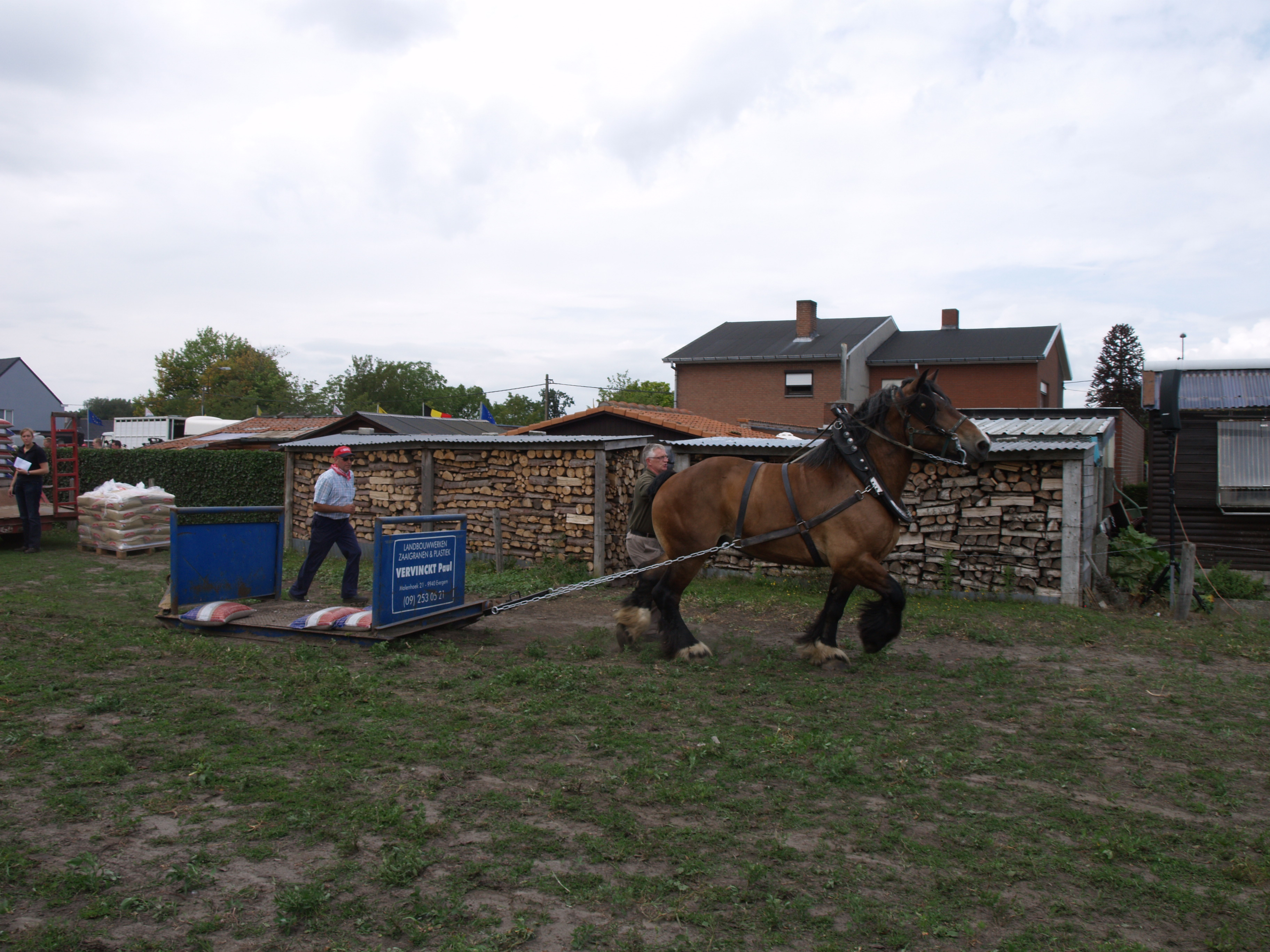 Trekpaardenhappening