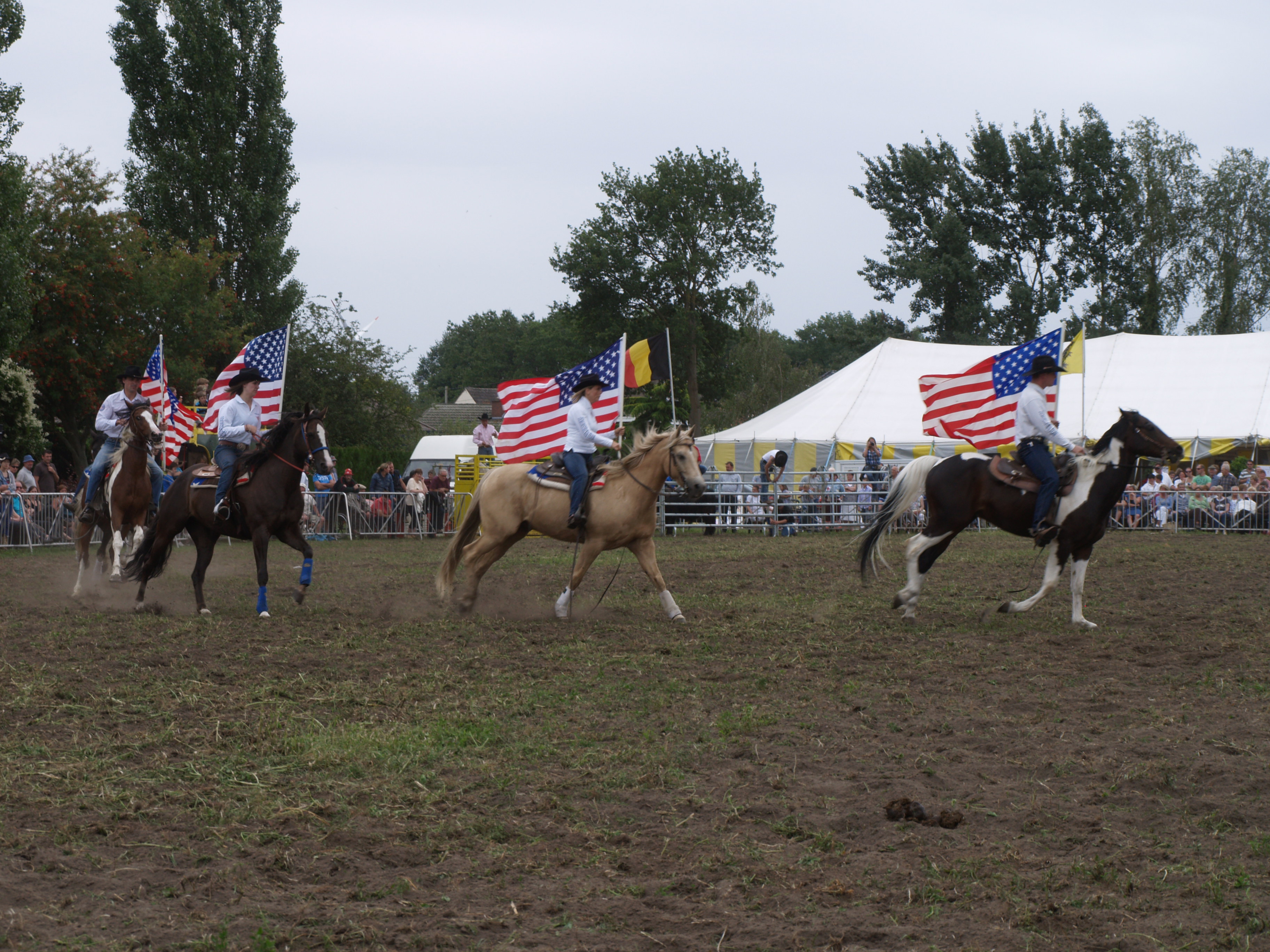 Trekpaardenhappening