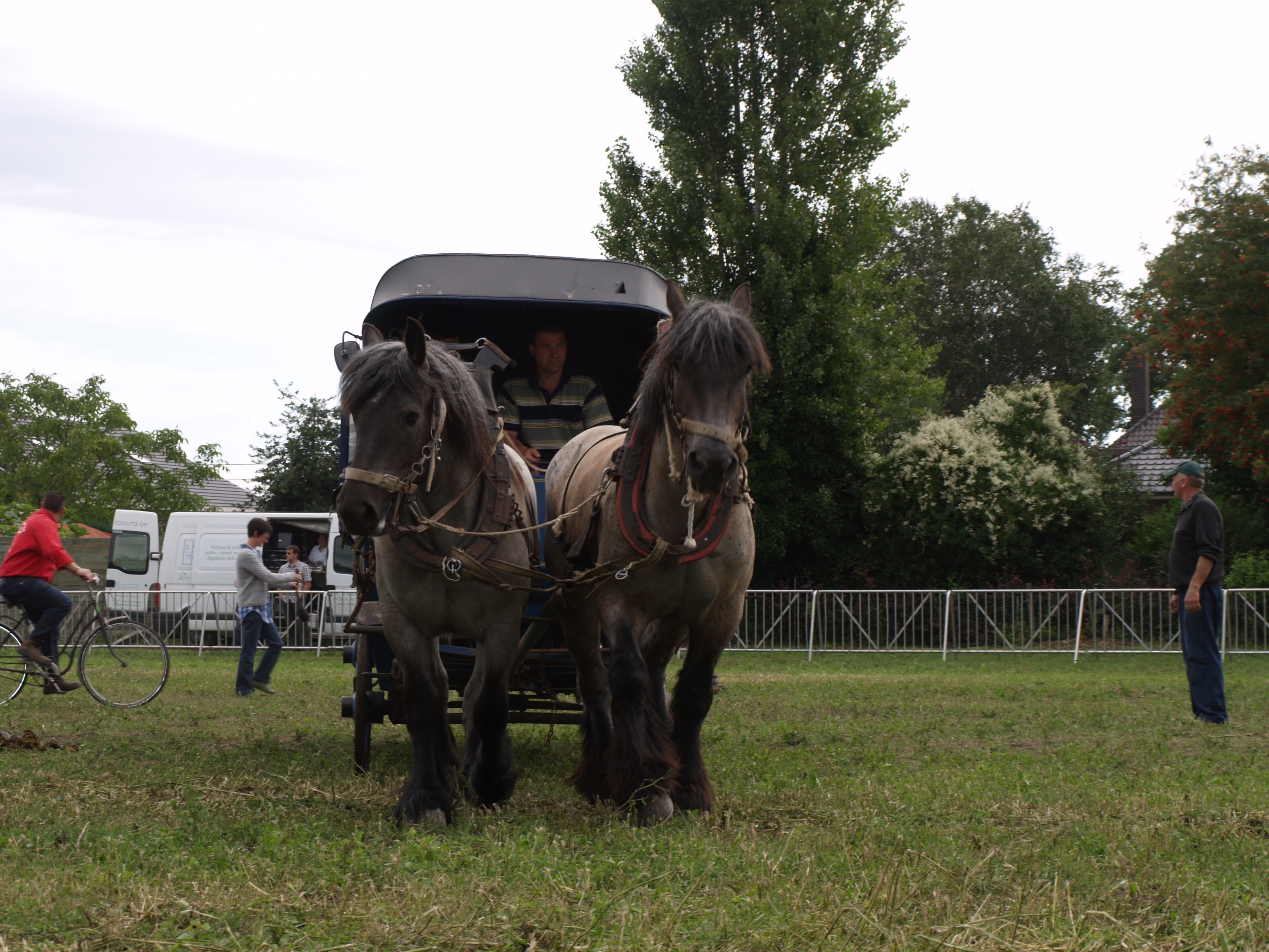 Trekpaardenhappening