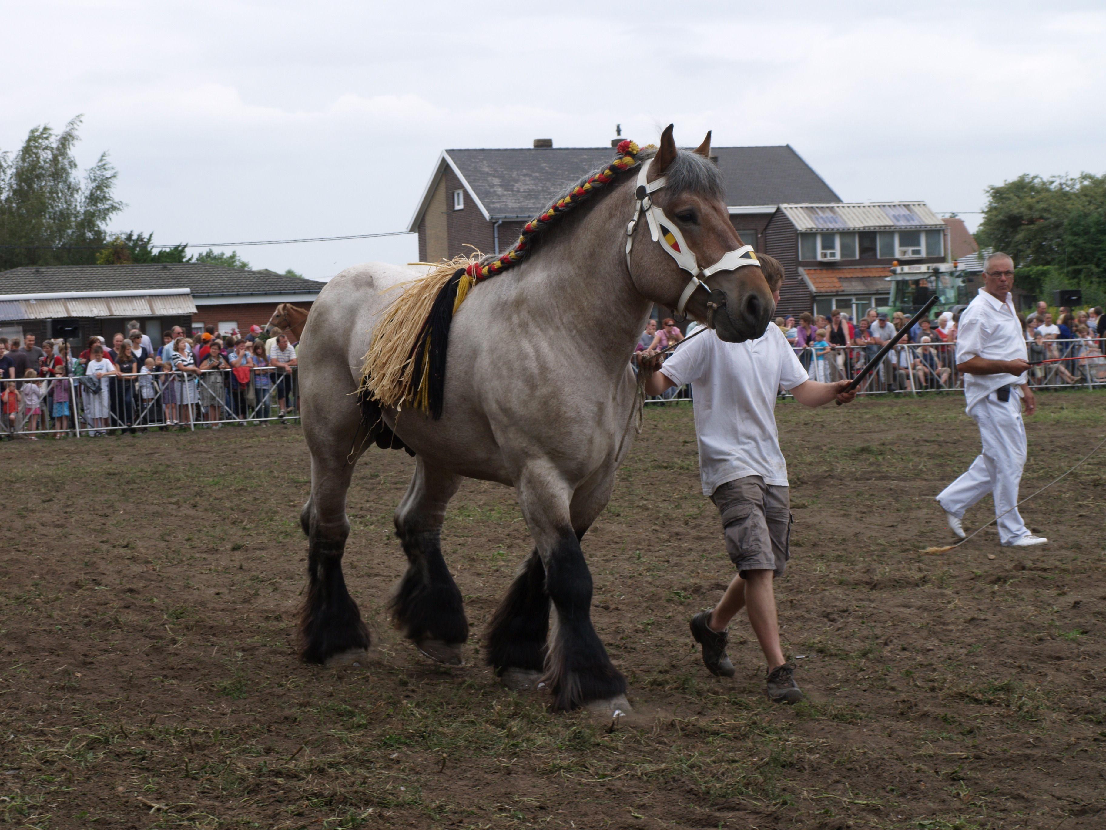 Trekpaardenhappening