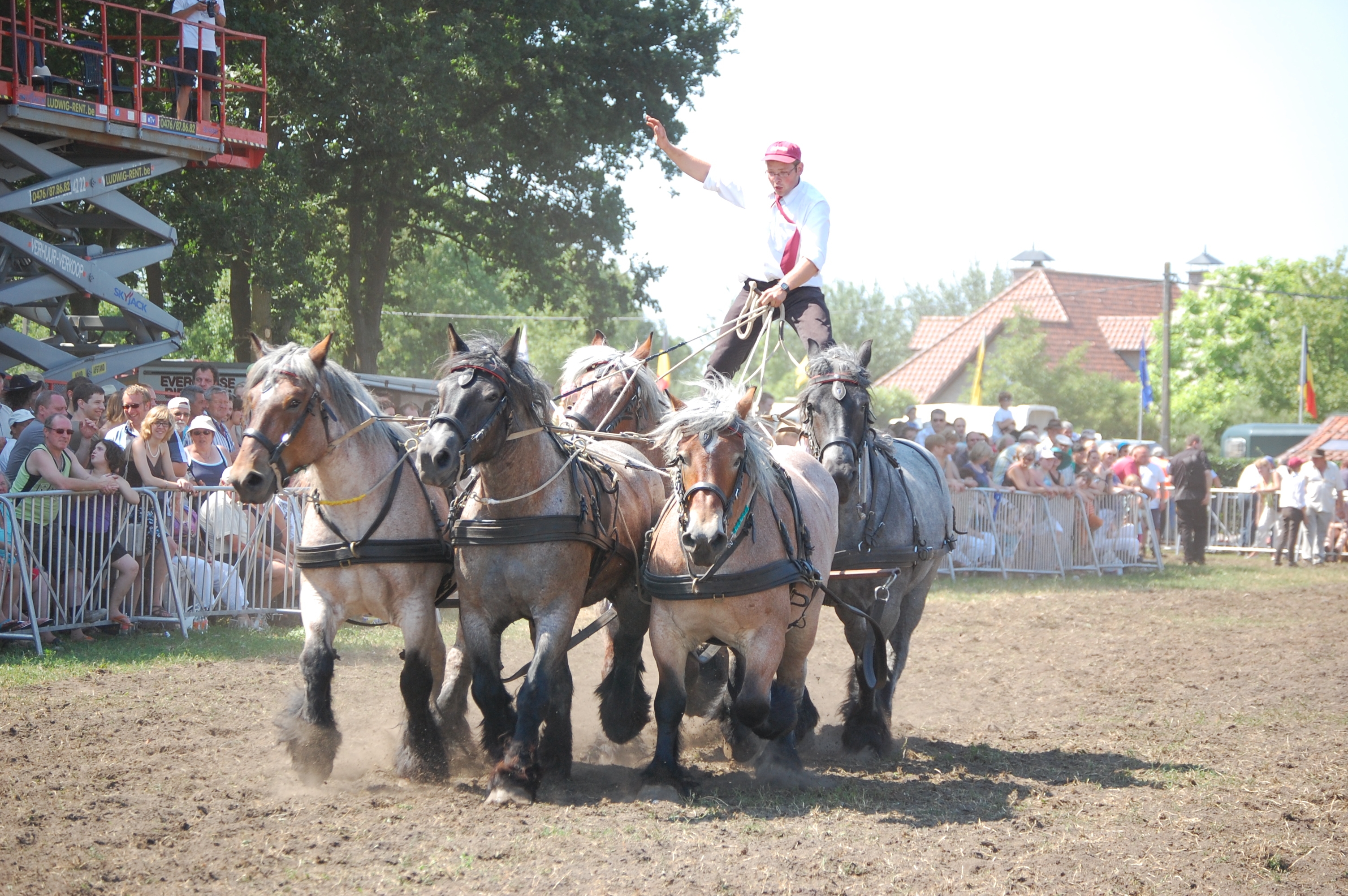 Trekpaardenhappening 2010
