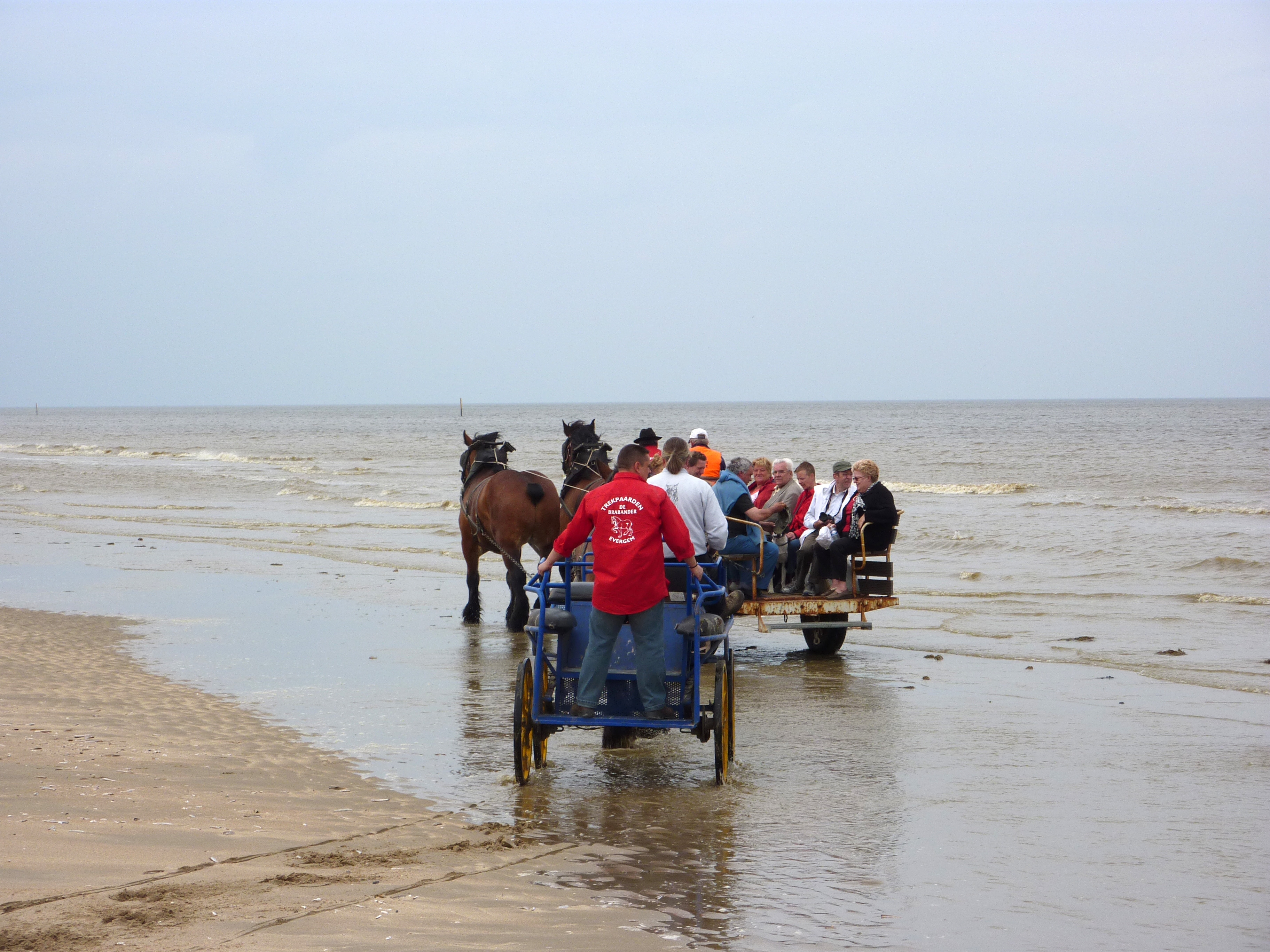 Oostduinkerke 2010