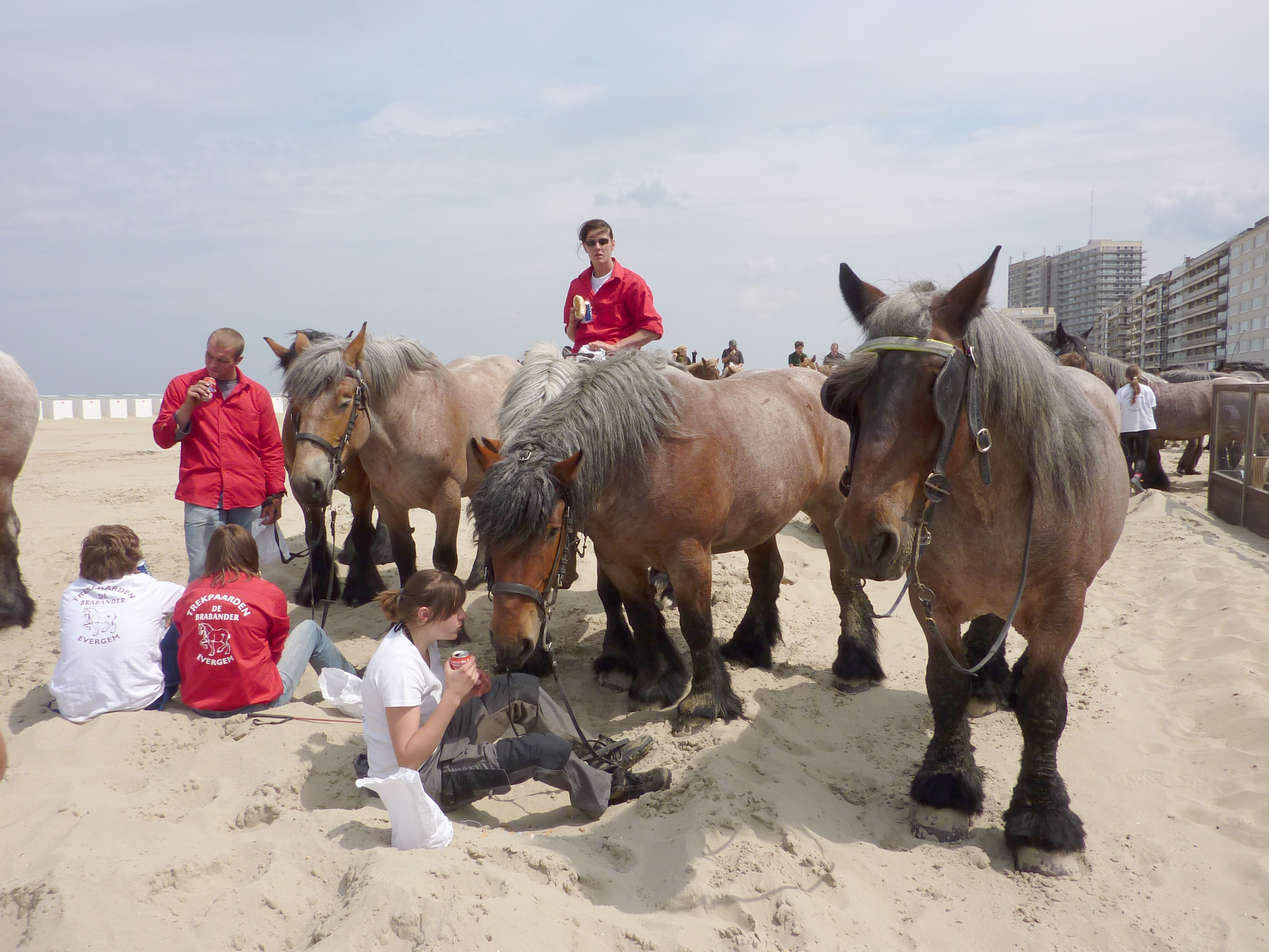 Oostduinkerke 2010