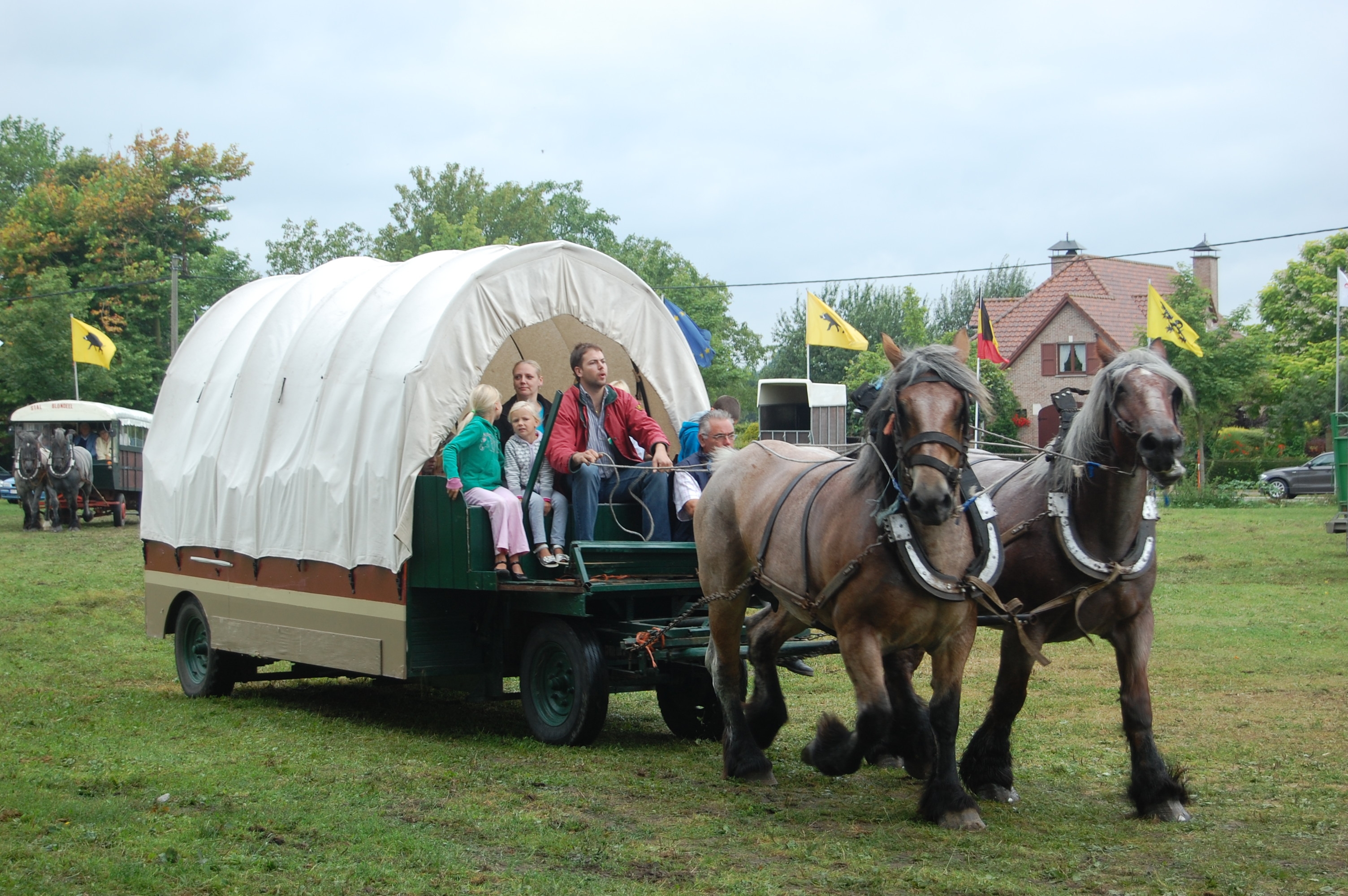 Trekpaardenhappening09