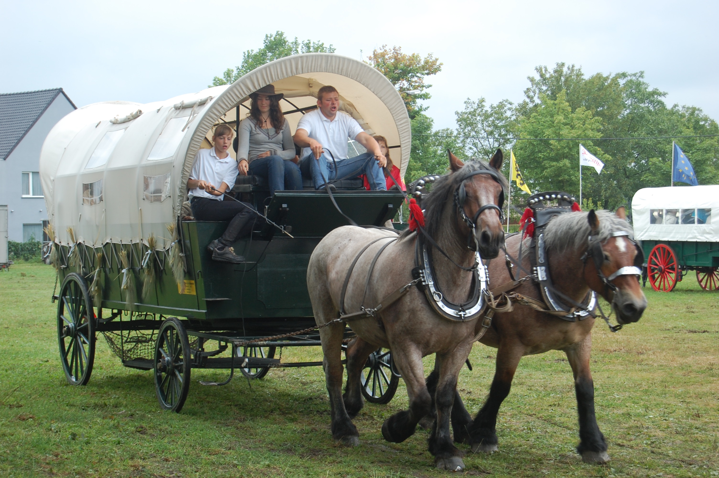 Trekpaardenhappening09