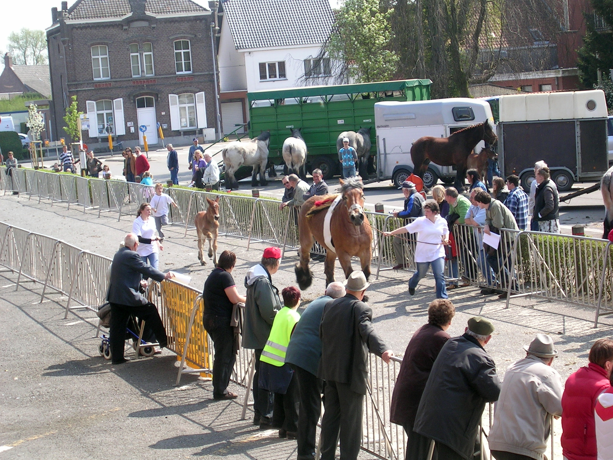 Evergem Jaarmarkt