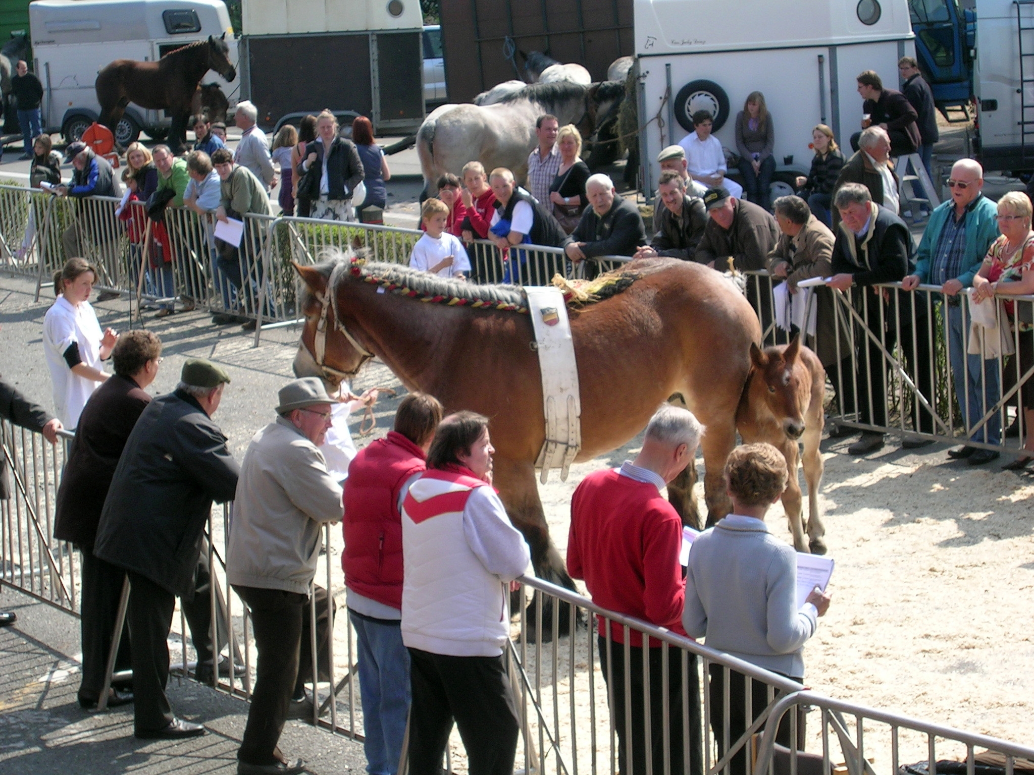 Evergem Jaarmarkt