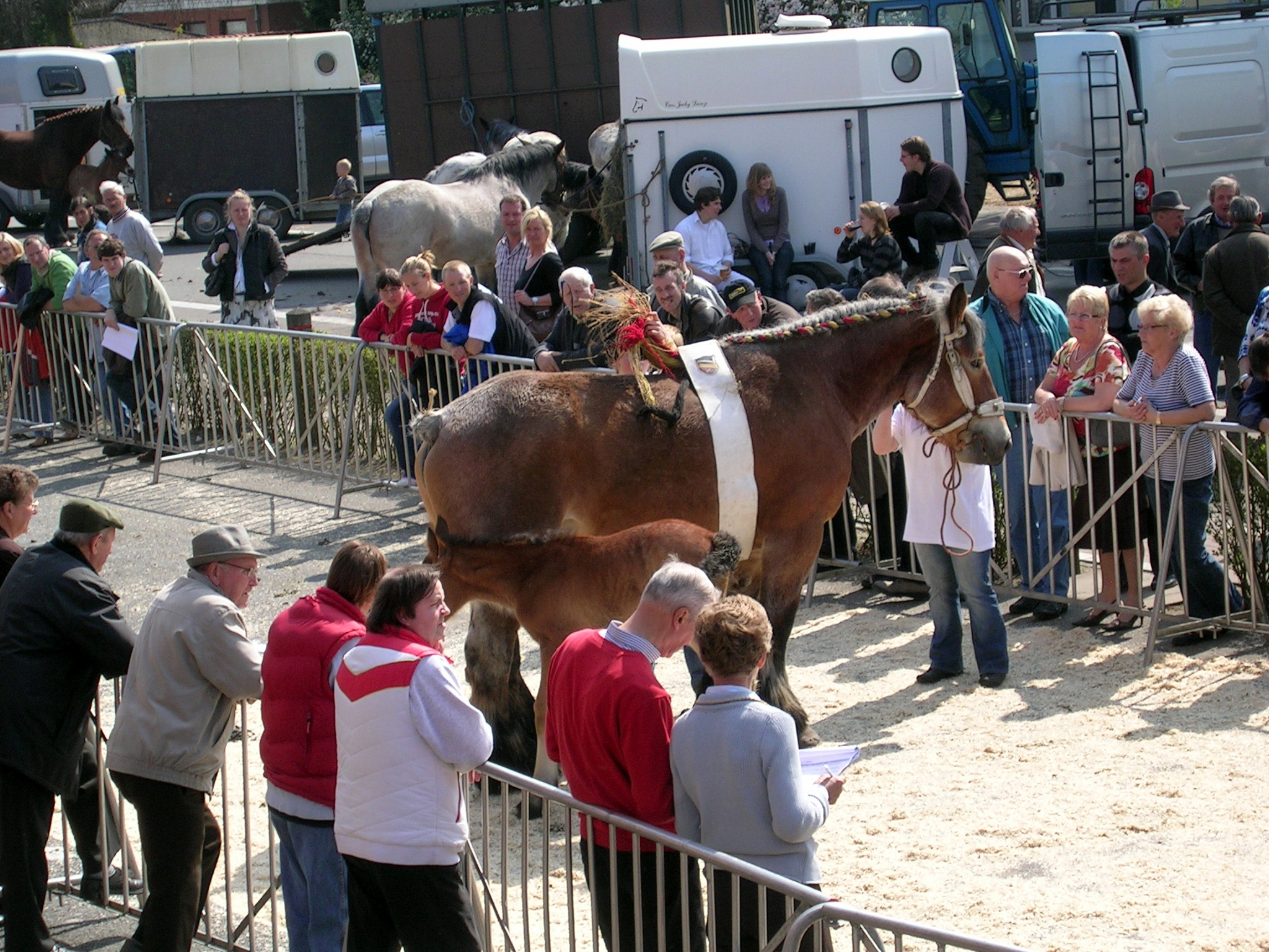 Evergem Jaarmarkt