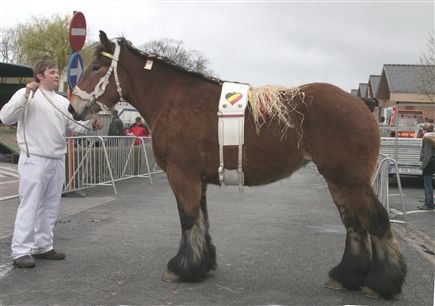 Evergem jaarmarkt 2009