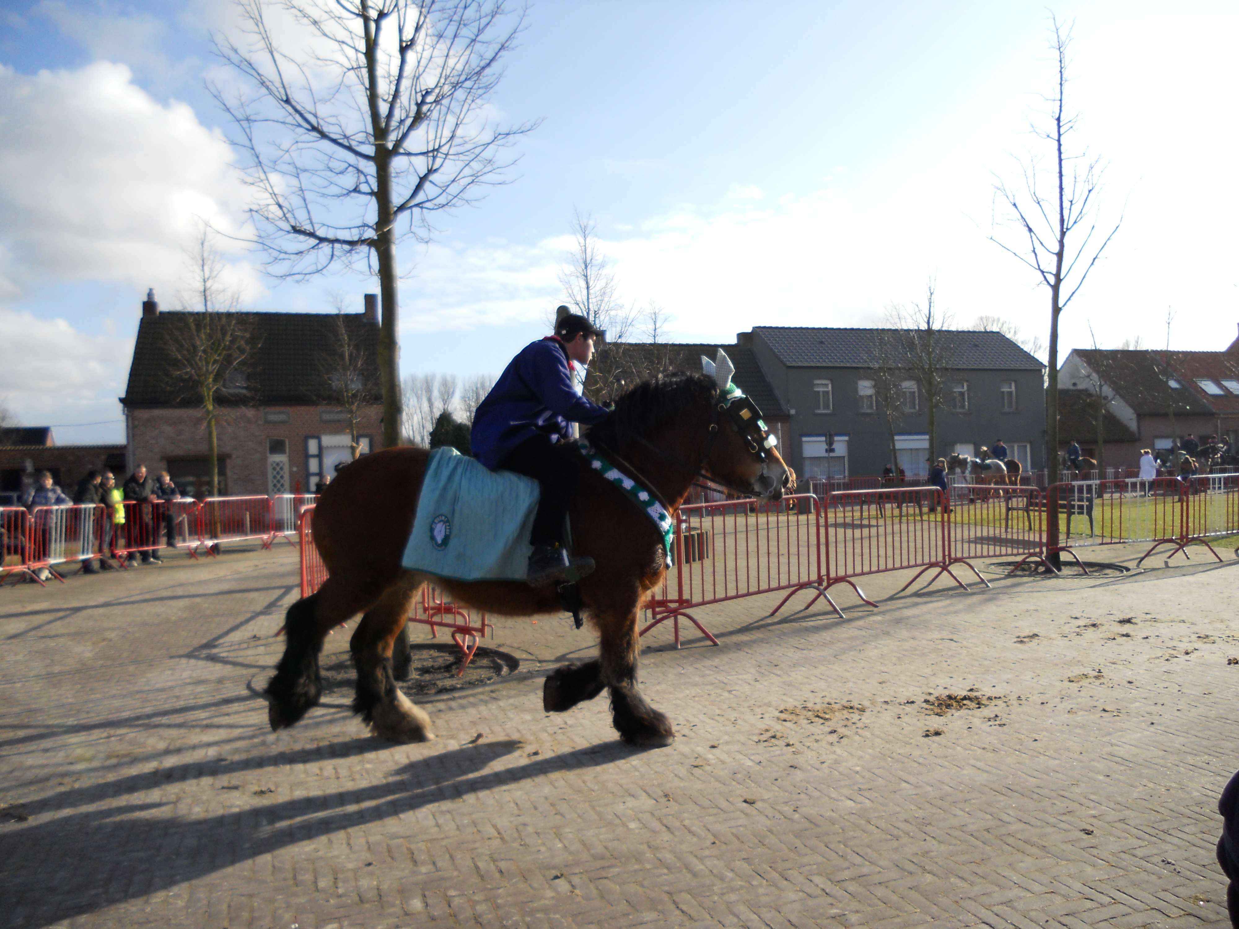 Ganzenrijden 2012