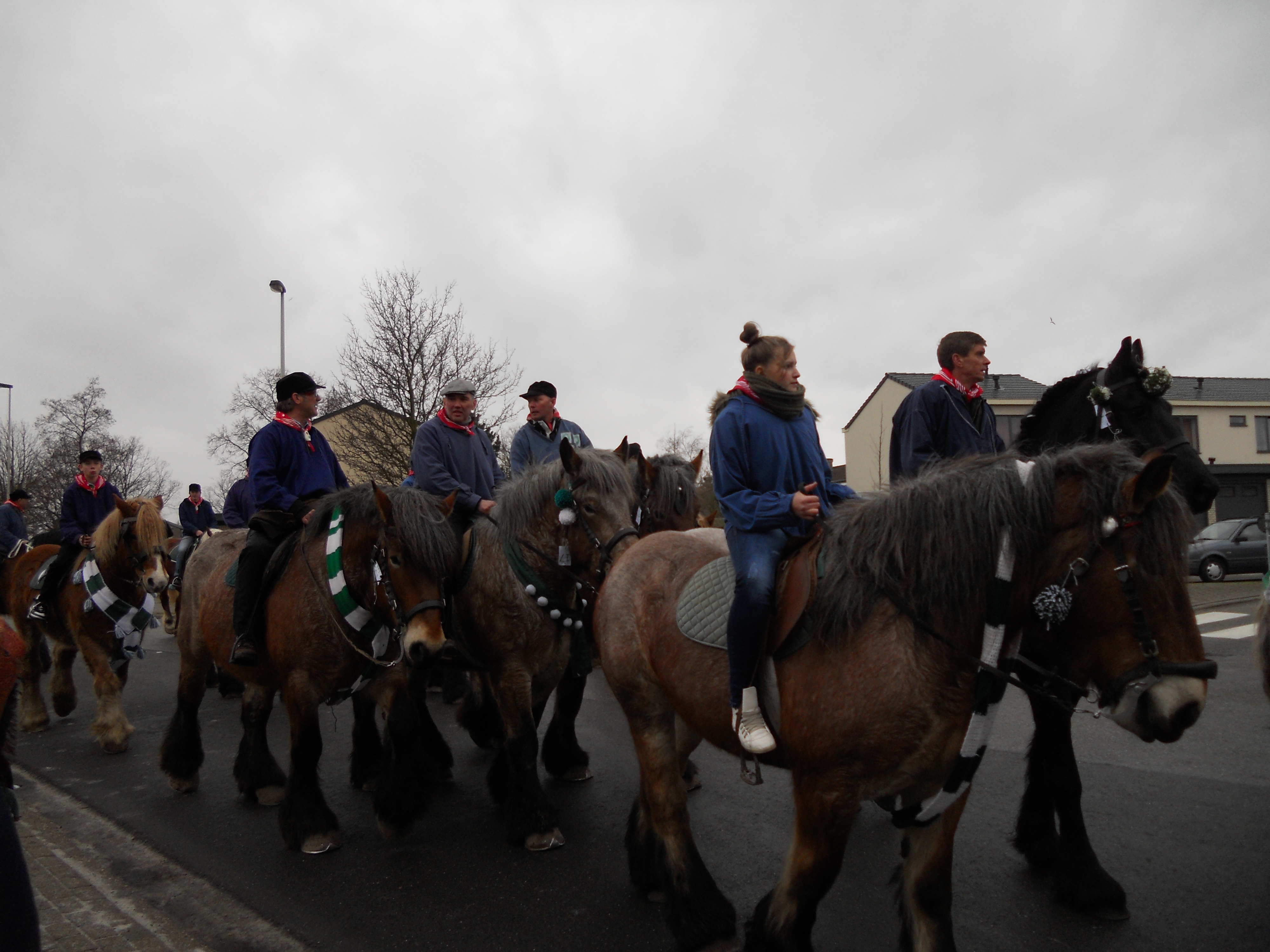 Ganzenrijden 2012