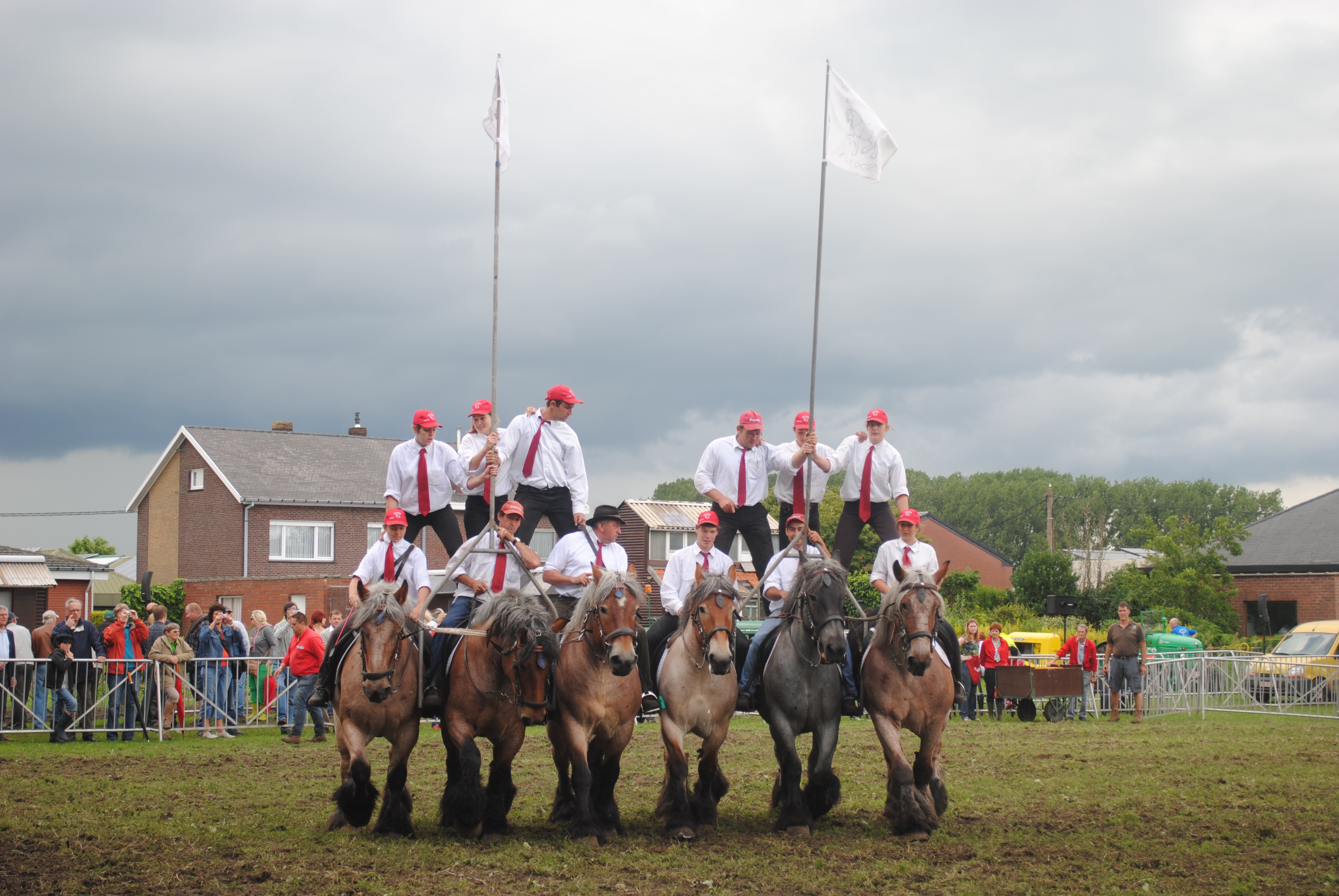 Trekpaardenhappening 2012