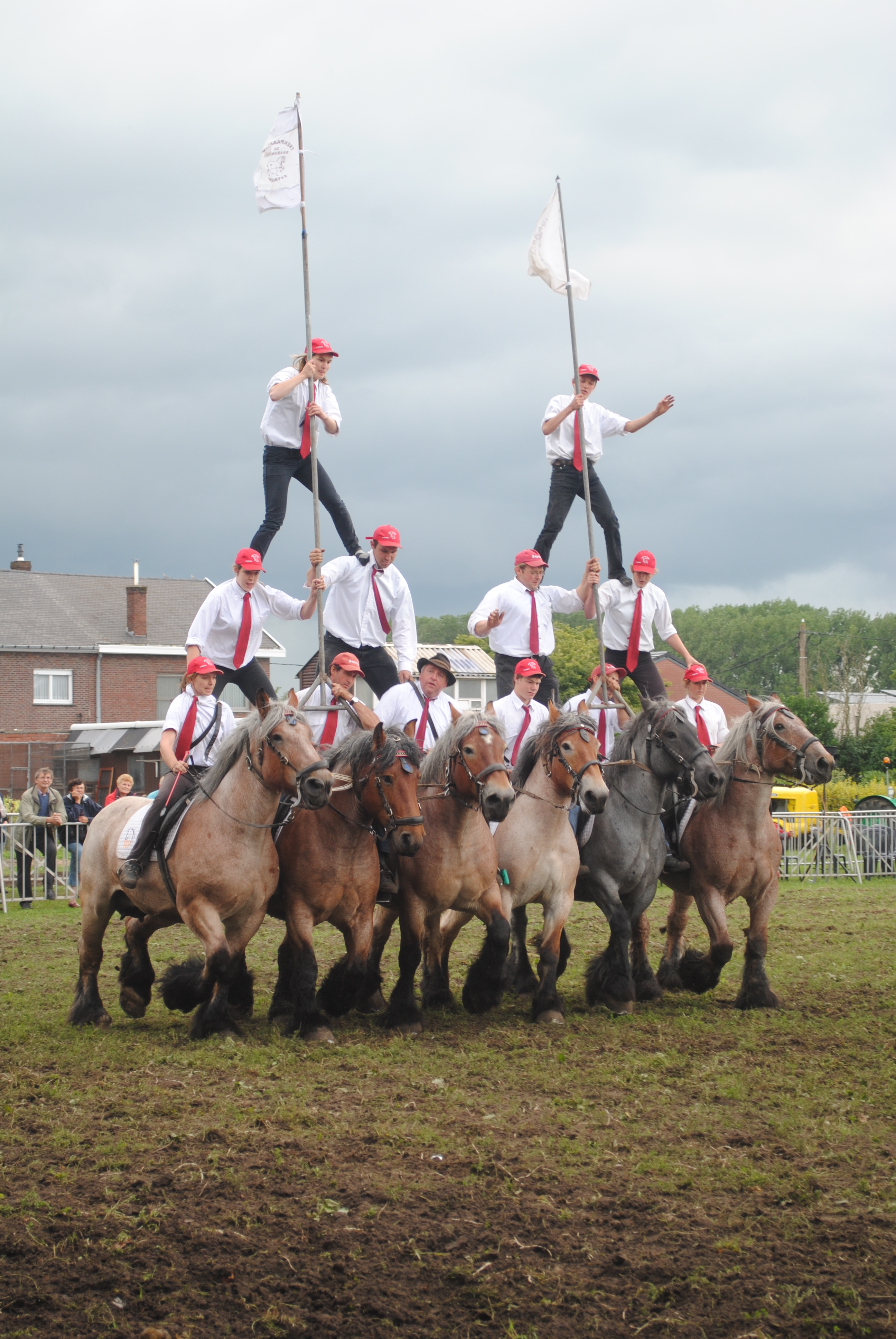 Trekpaardenhappening 2012