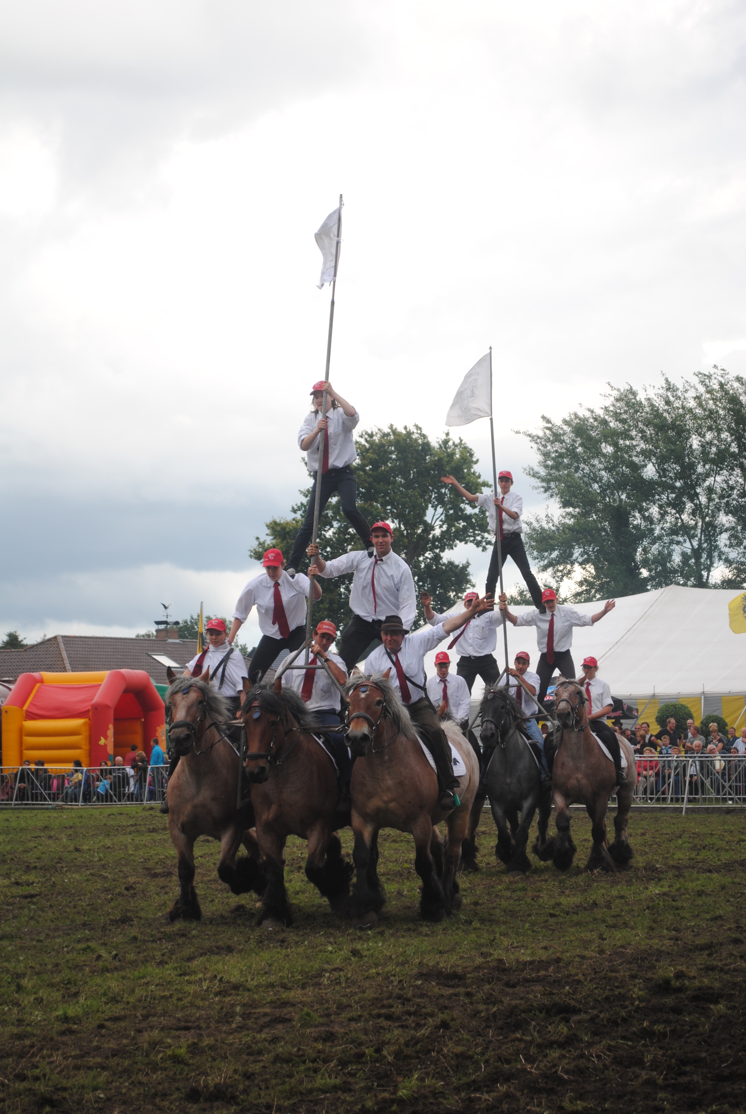 Trekpaardenhappening 2012