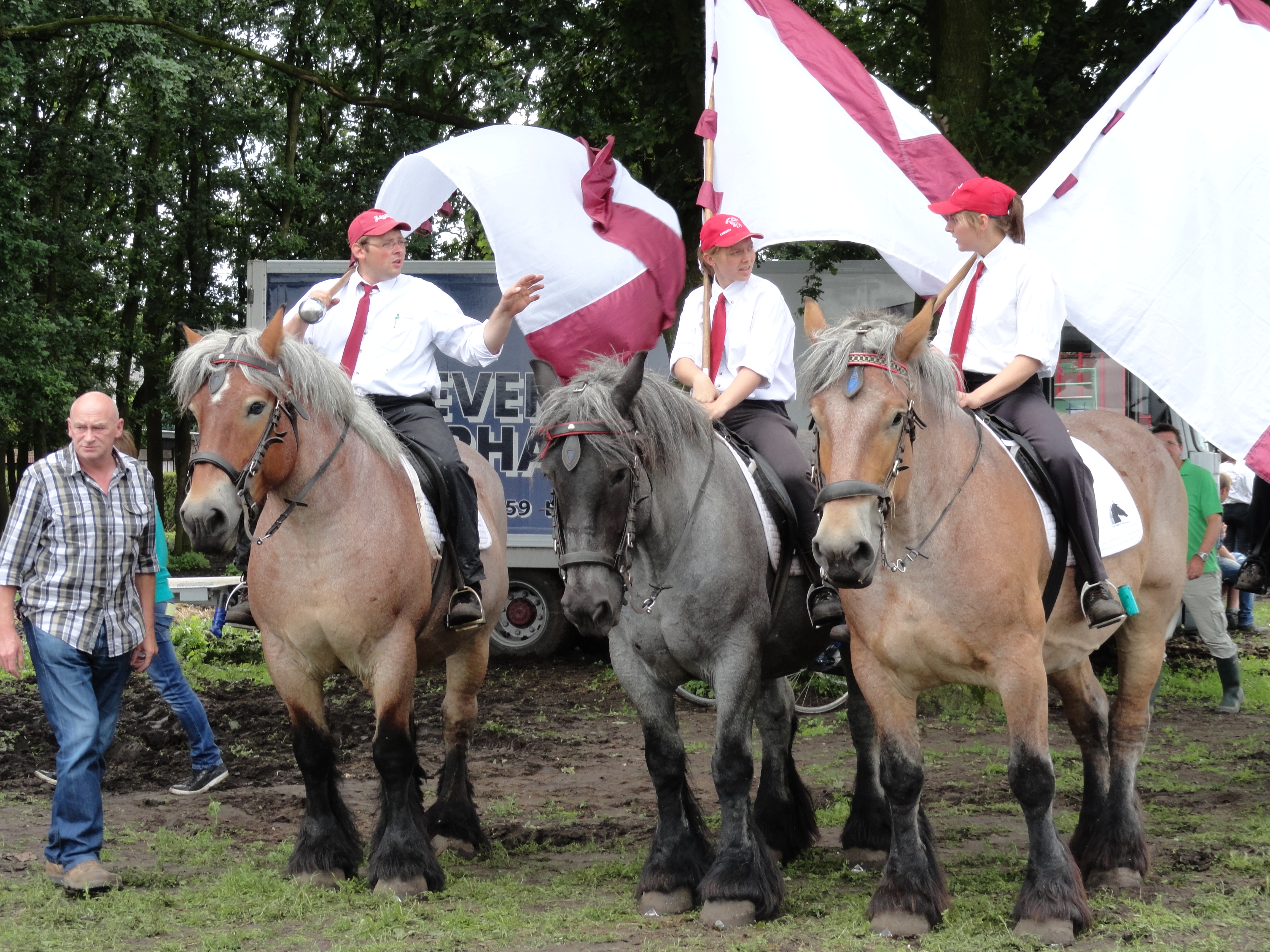 Trekpaardenhappening 2012
