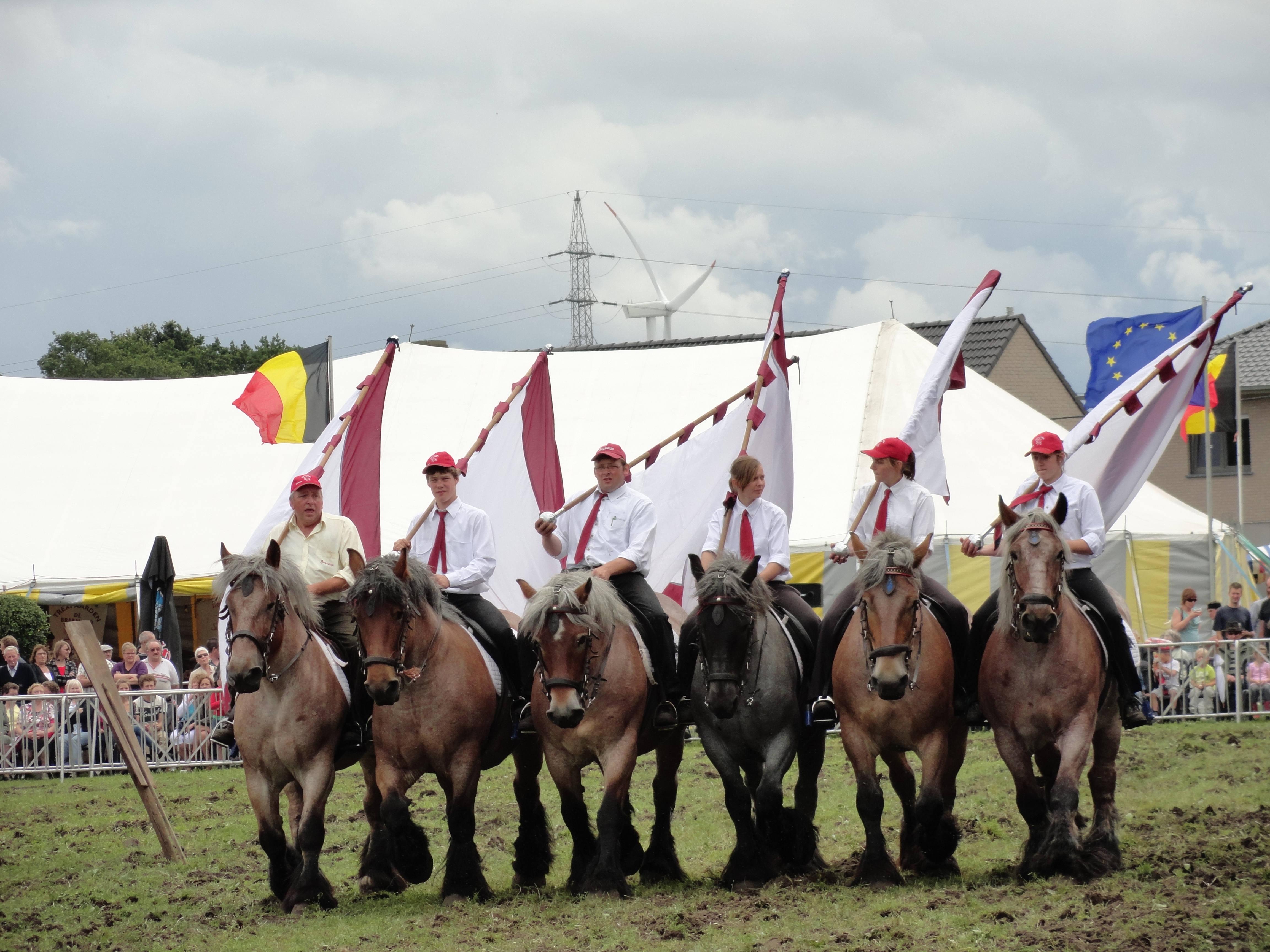 Trekpaardenhappening 2012