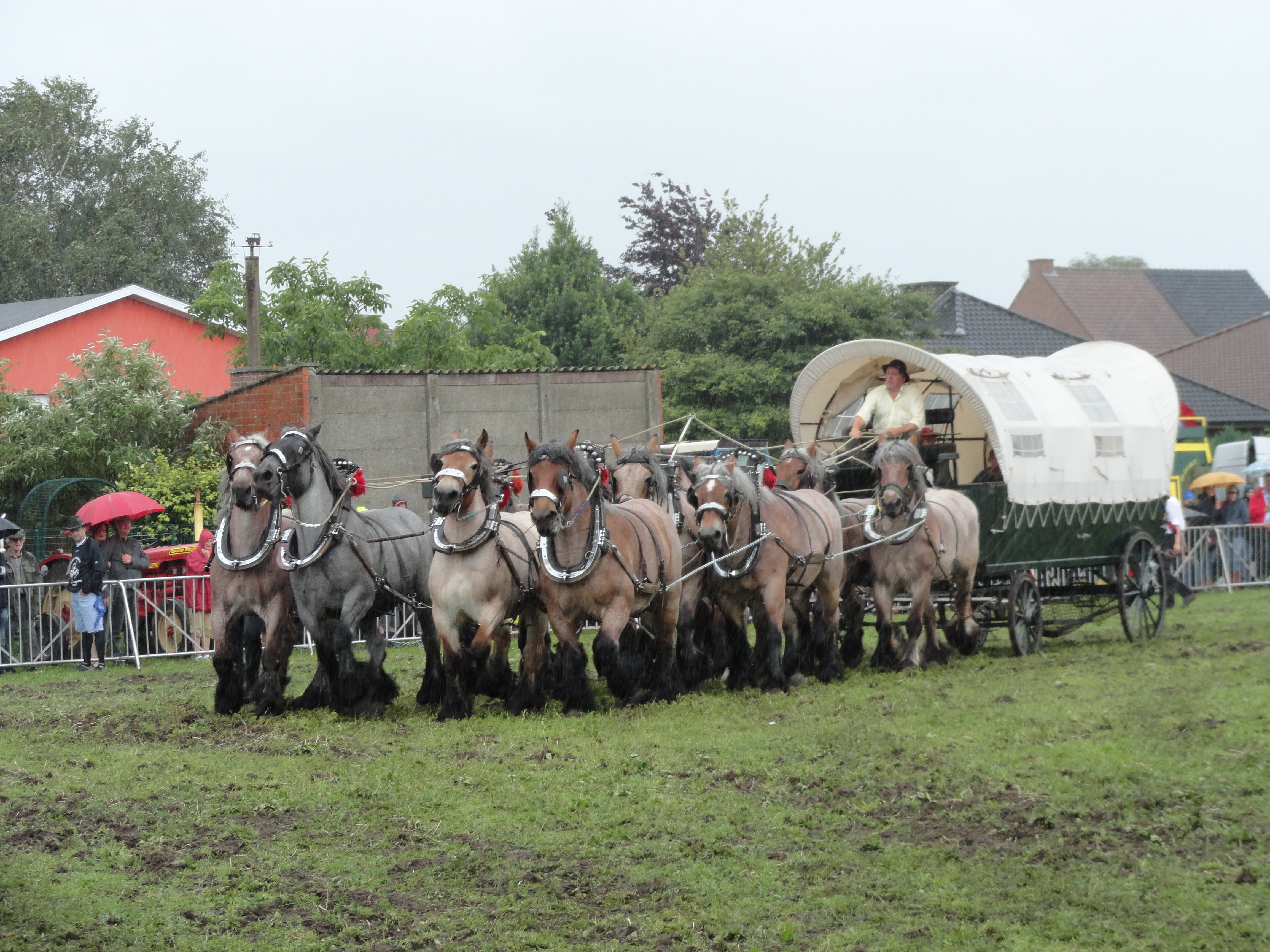 Trekpaardenhappening 2012