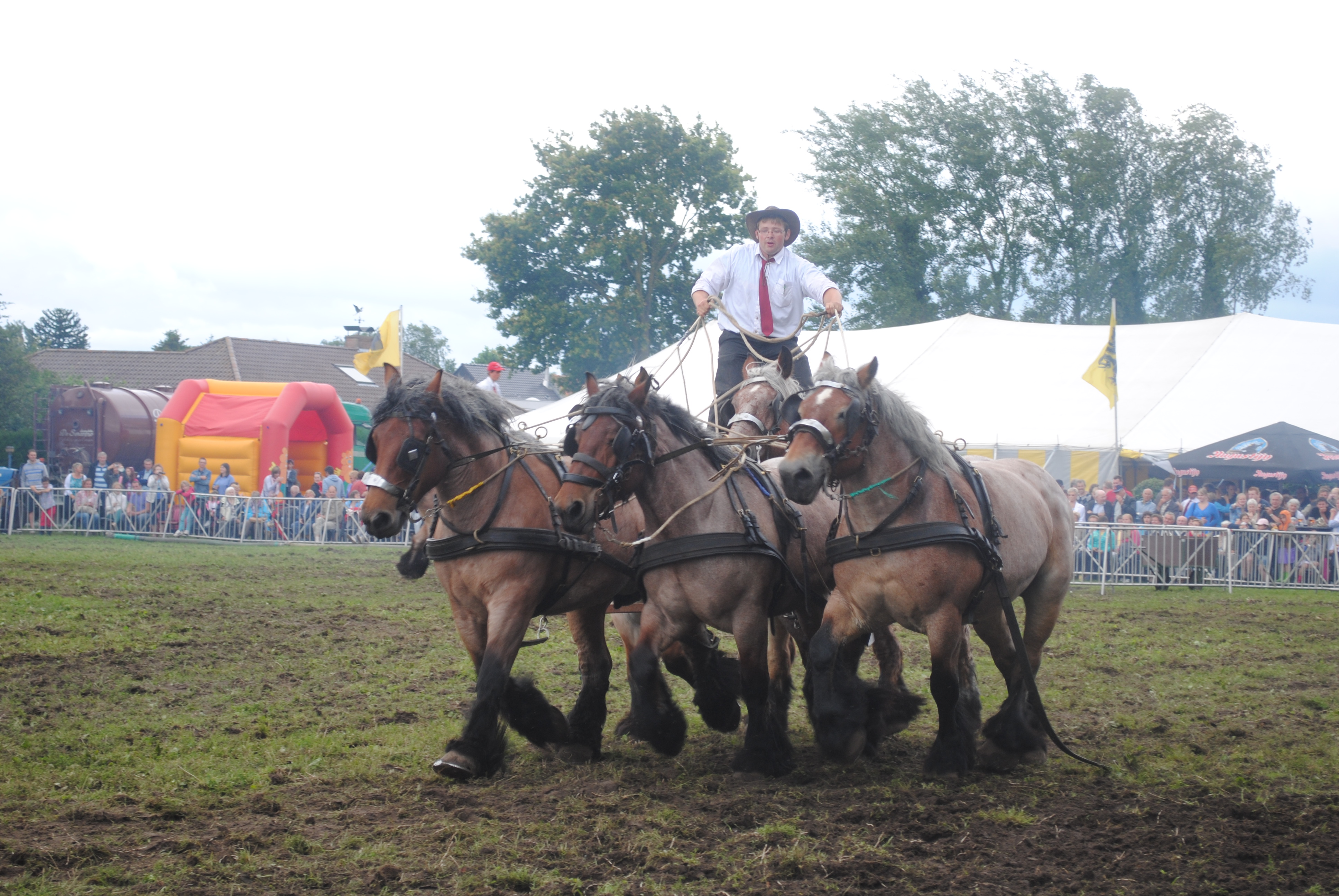 Trekpaardenhappening 2012