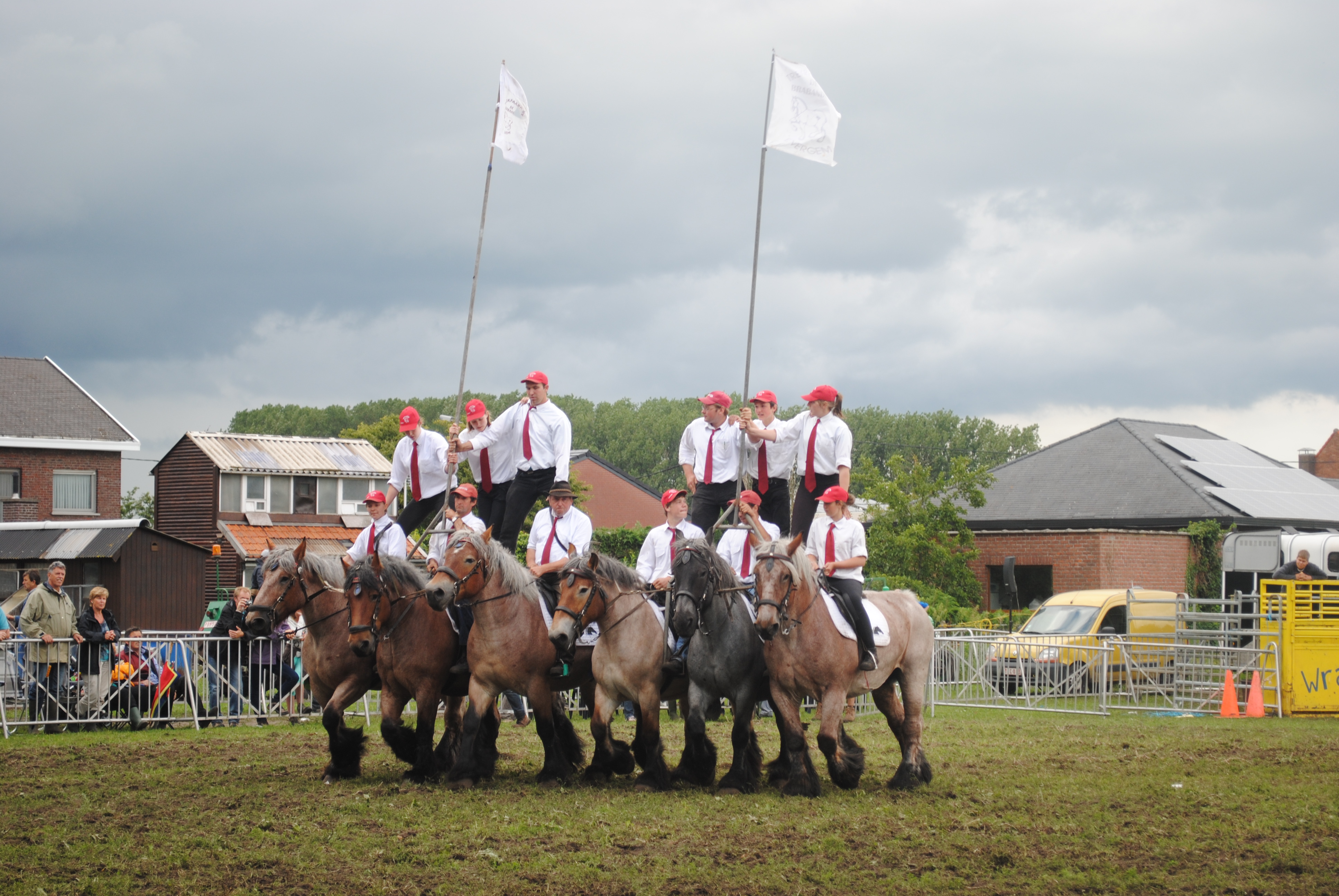 Trekpaardenhappening 2012